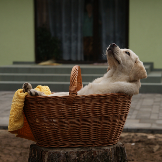 How to Just Chill - Self Care Ideas For Busy People