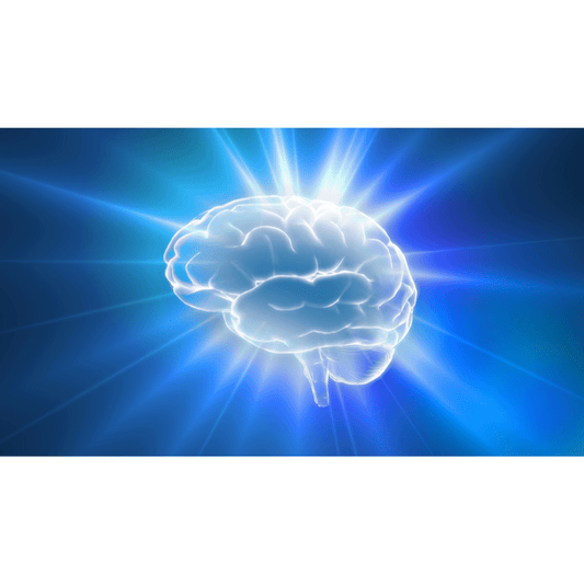 National Brain Donation Awareness Day