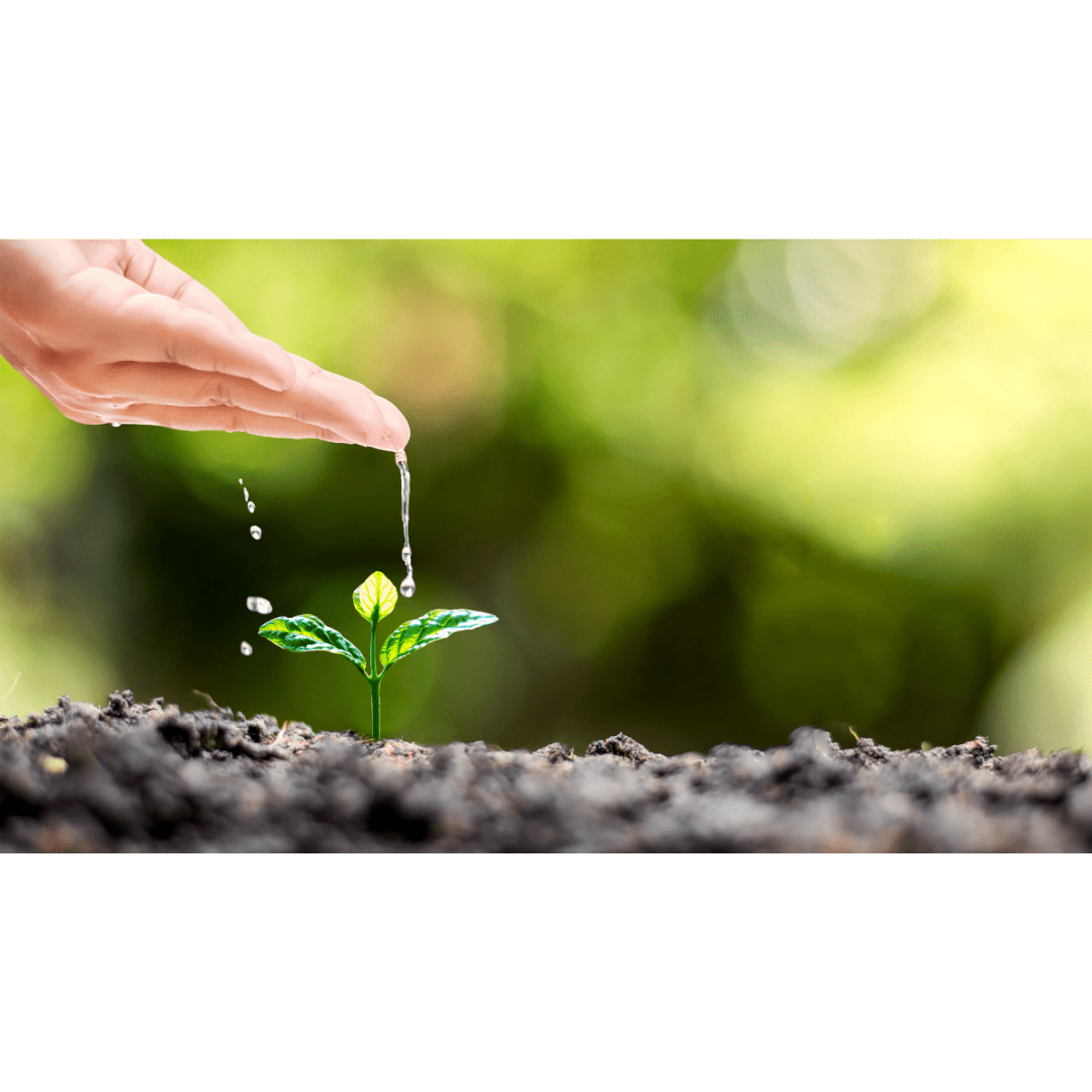 Learn Mindfulness Strategies for Long-Term Practice