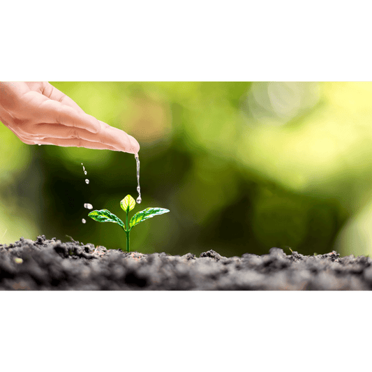 Is Being Fully "Healed" A Myth? Embracing Lifelong Growth