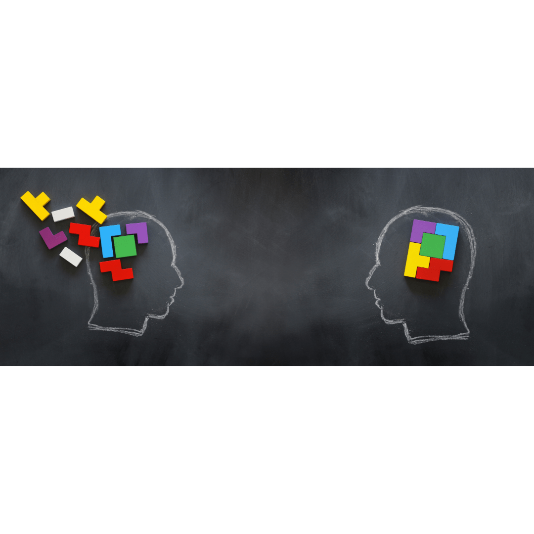 Science & Serenity: How Mindfulness Changes Your Brain