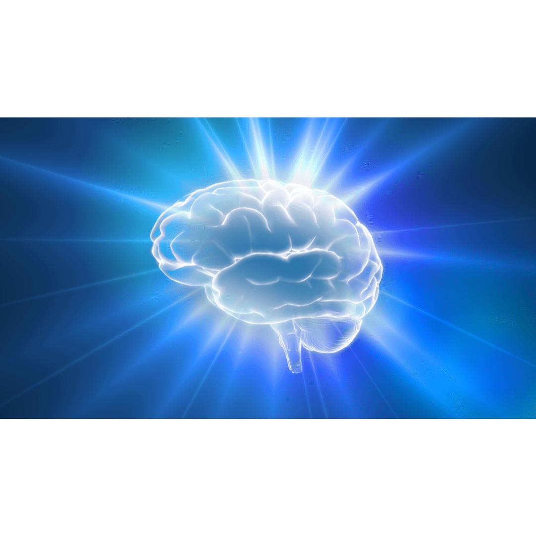 National Brain Donation Awareness Day