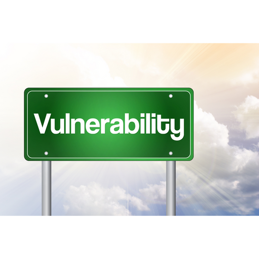 a green highway sign that reads vulnerability